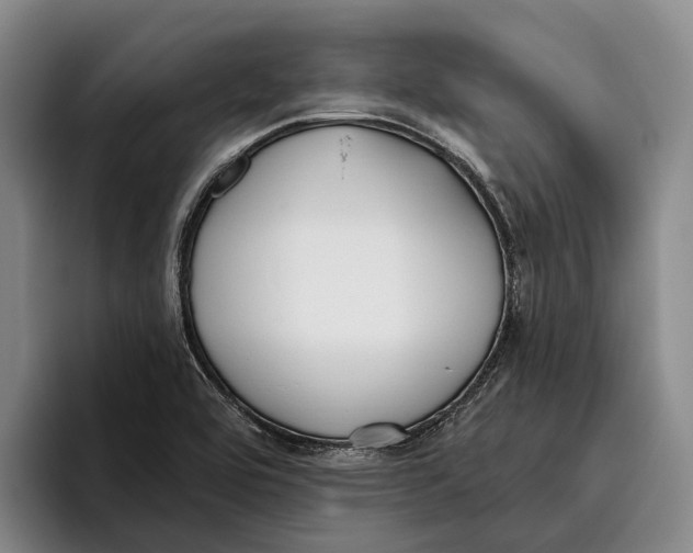 X0000096211464200802151452