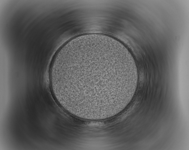 X0000096211466200802151452