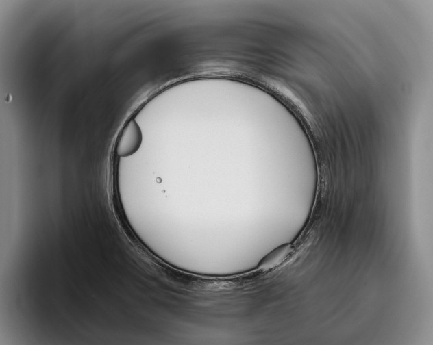 X0000096211467200802151452