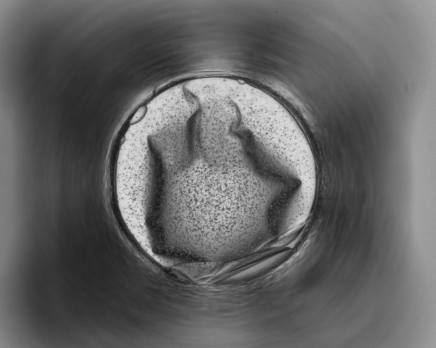 X0000096211469200802151452