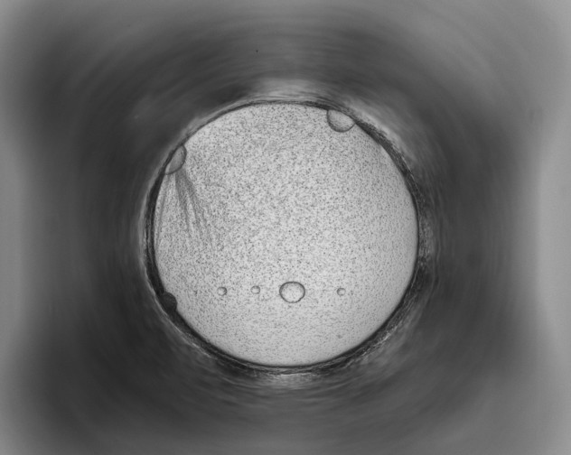 X0000096211471200802151452