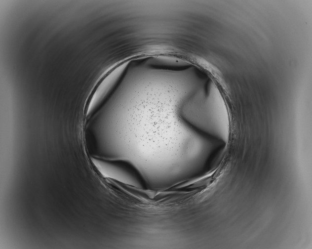 X0000096211473200802151452