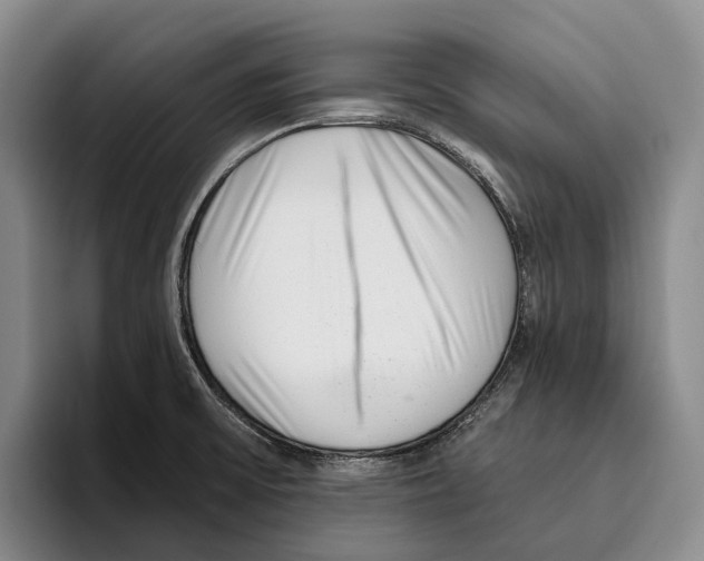 X0000096211475200802151452