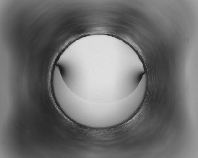 X0000096211477200802151452