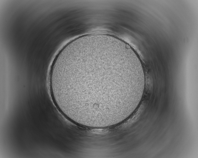 X0000096211478200802151452