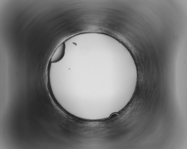 X0000096211479200802151452