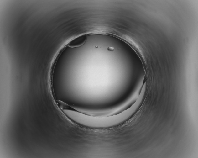 X0000096211480200802151452