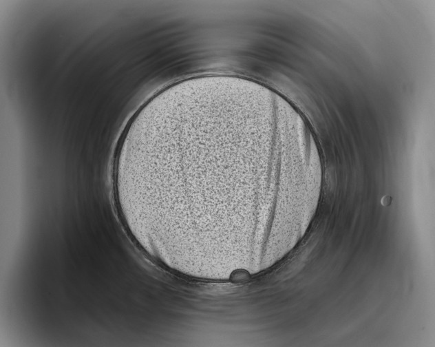 X0000096211482200802151452