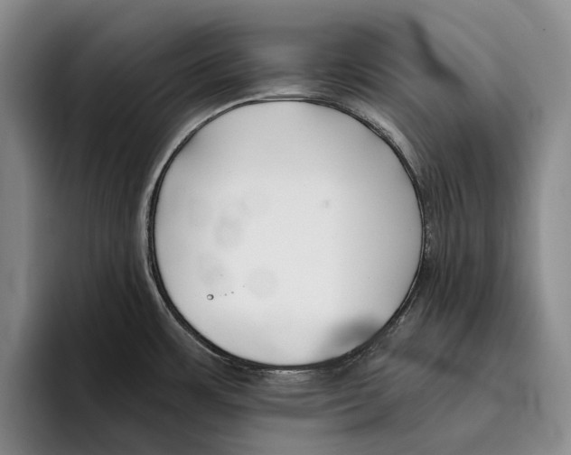 X0000096211483200802151452