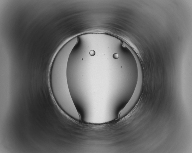 X0000096211484200802151452