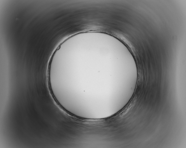 X0000096211487200802151452