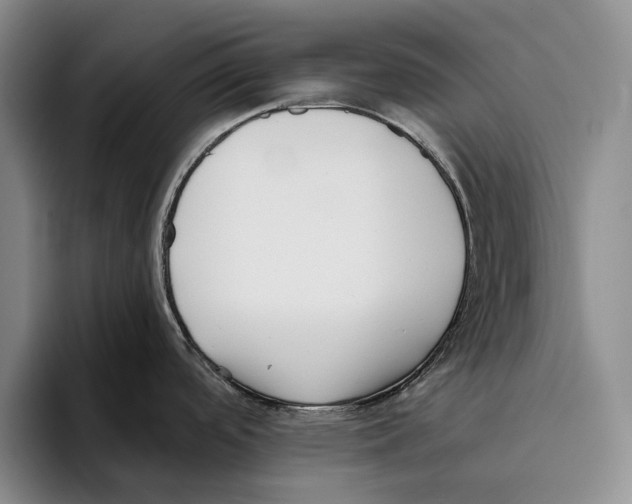 X0000096211488200802151452