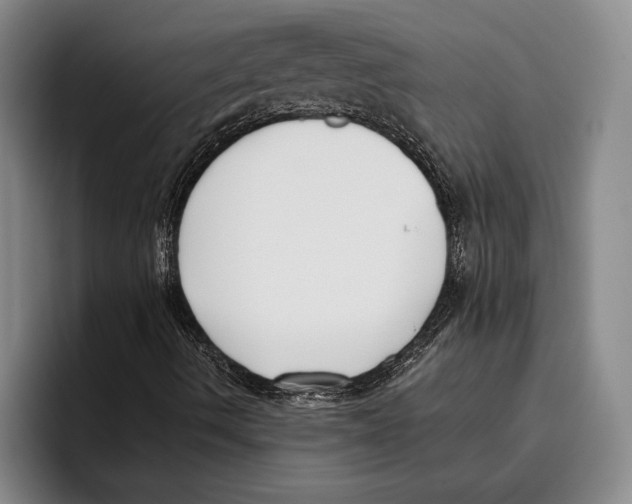 X0000096211490200802151451