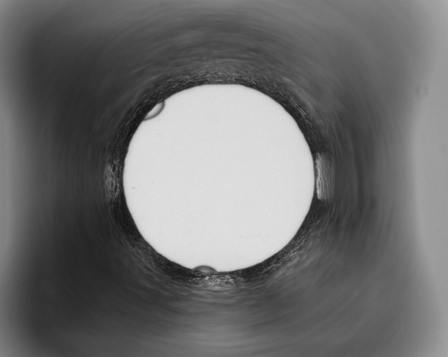 X0000096211491200802151451