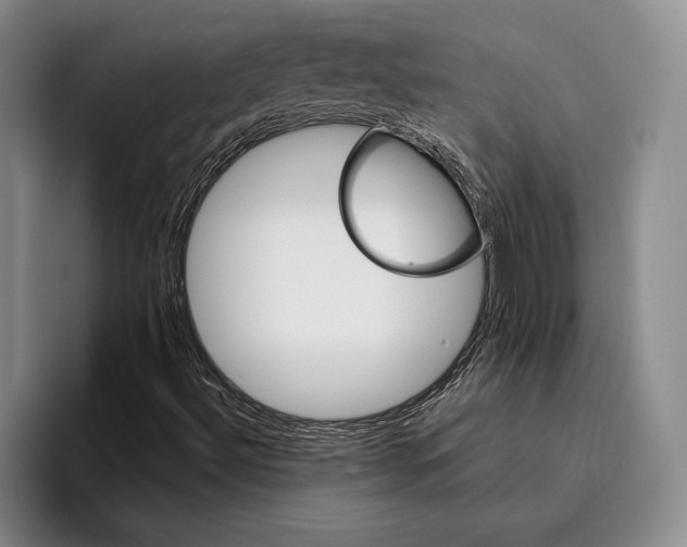 X0000096211492200802151451