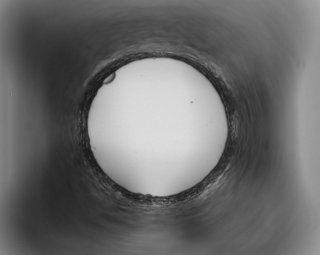 X0000096211494200802151451