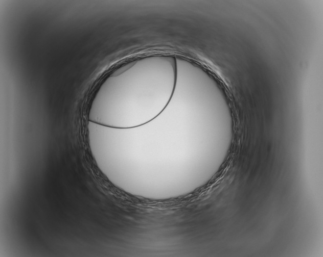 X0000096211496200802151451