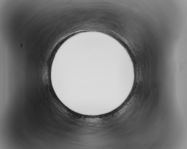 X0000096211498200802151451