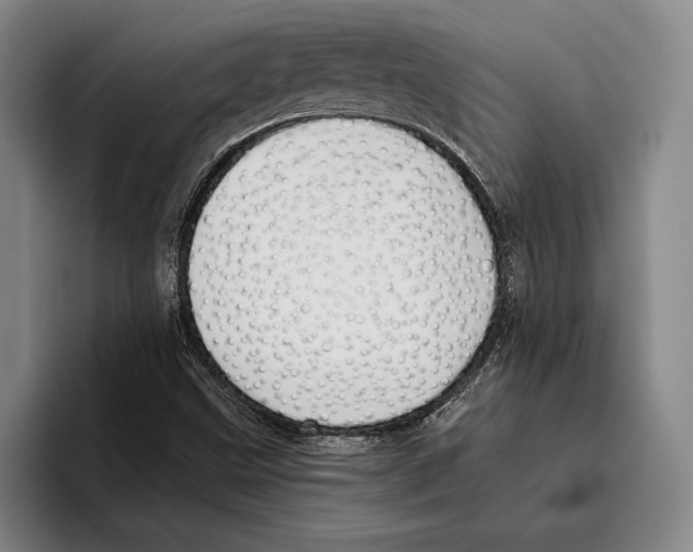 X0000096211499200802151451