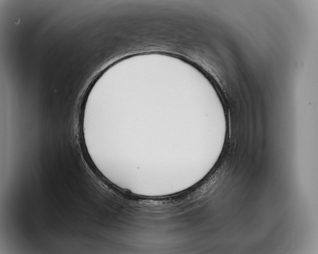 X0000096211500200802151451