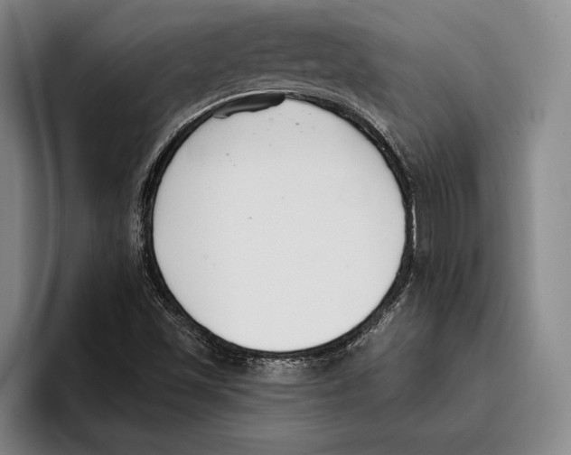 X0000096211501200802151451