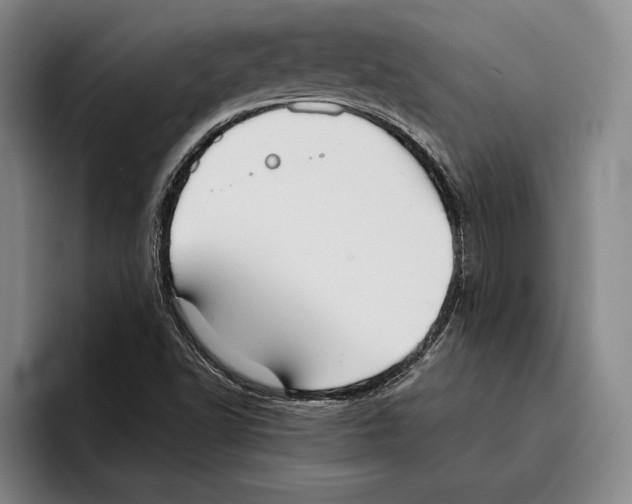 X0000096211502200802151451