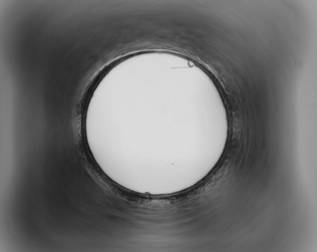 X0000096211503200802151451