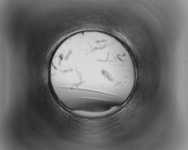 X0000096211504200802151451