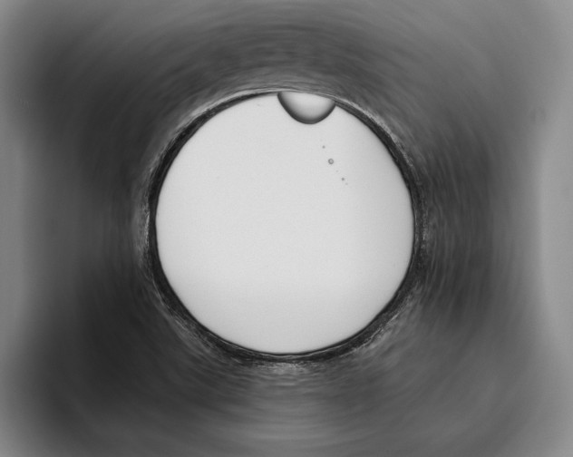 X0000096211507200802151451