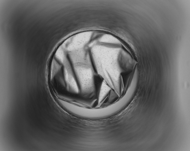 X0000096211508200802151451