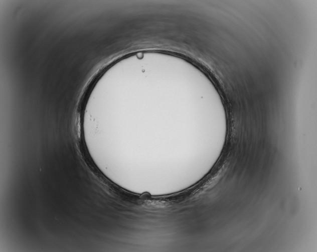 X0000096211509200802151451