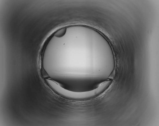 X0000096211510200802151451