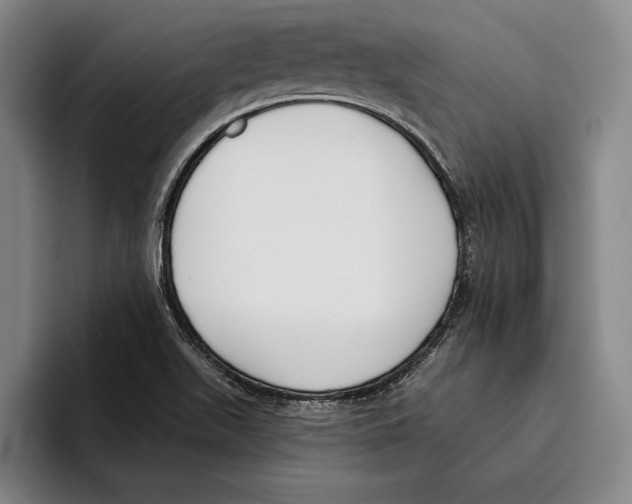 X0000096211511200802151451