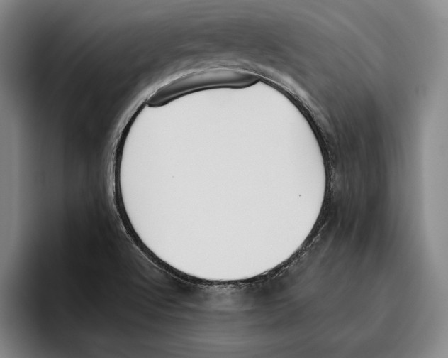 X0000096211512200802151451