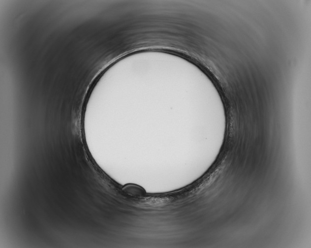 X0000096211513200802151451