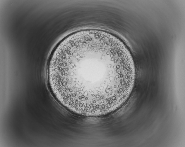 X0000096211514200802151451