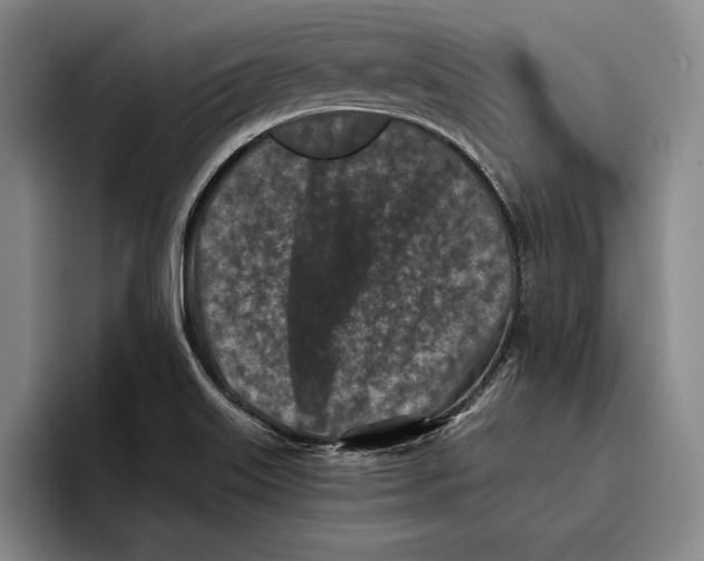 X0000096211515200802151451