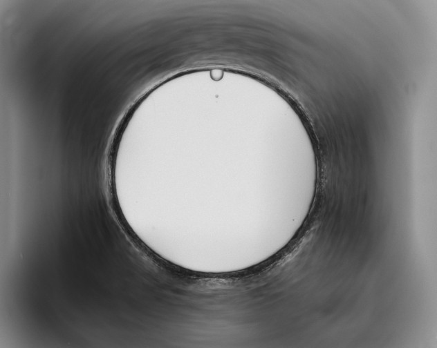 X0000096211517200802151451