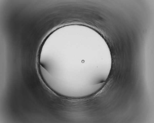 X0000096211518200802151451