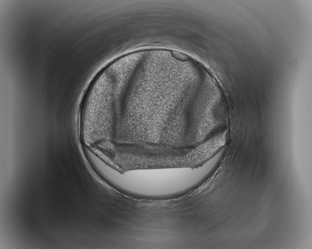 X0000096211519200802151451