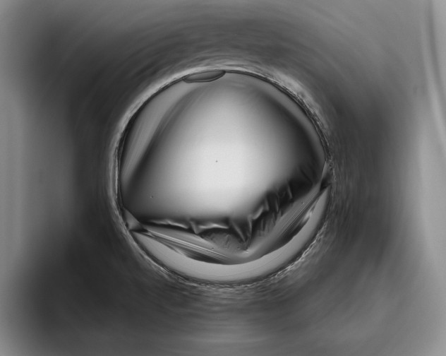 X0000096211520200802151451