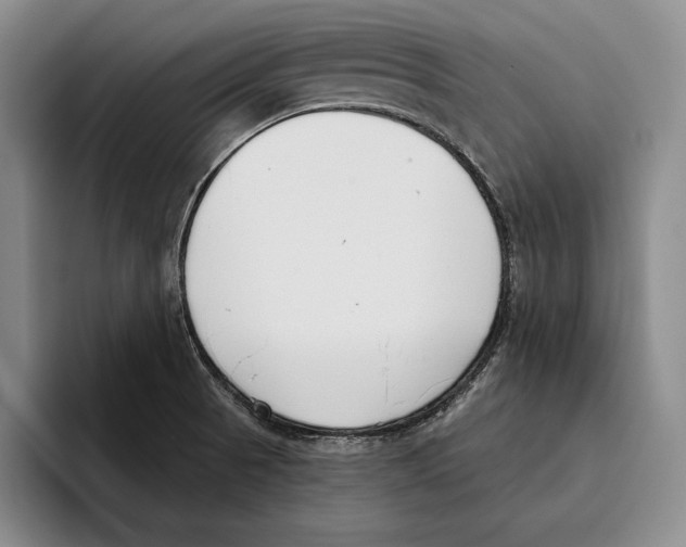 X0000096211521200802151451