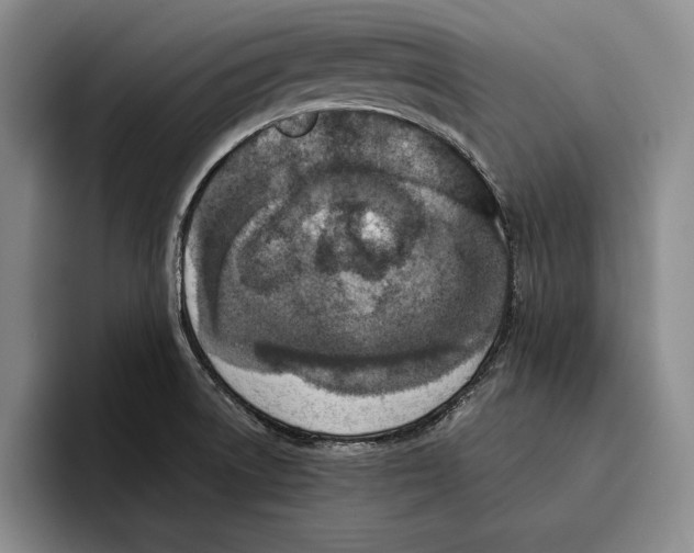 X0000096211522200802151451