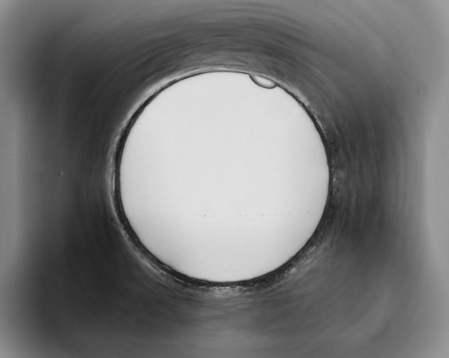 X0000096211523200802151451