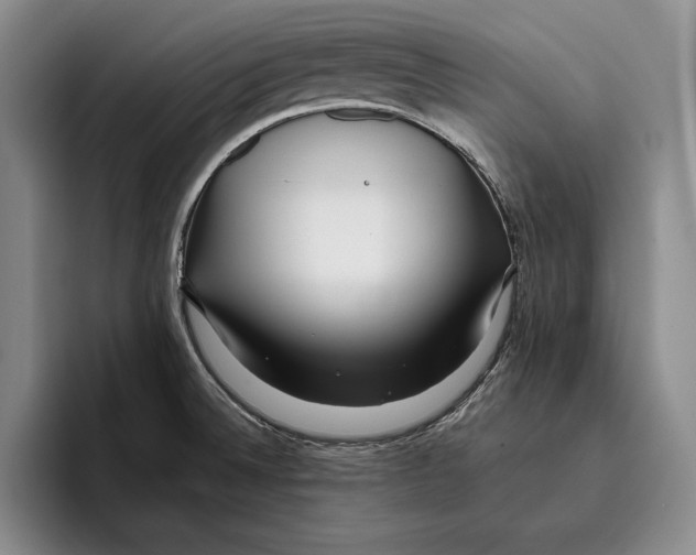 X0000096211524200802151451