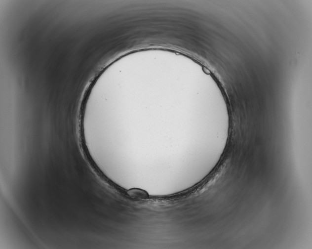 X0000096211525200802151451