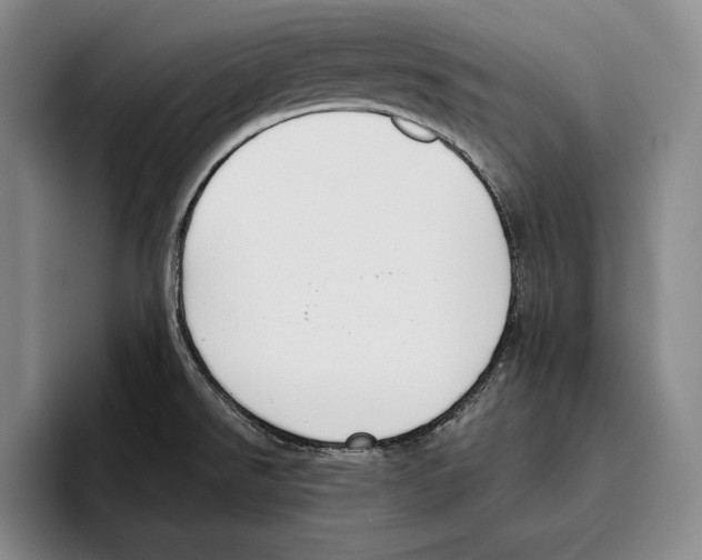 X0000096211526200802151452