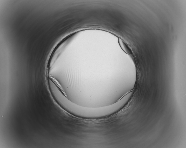 X0000096211527200802151452