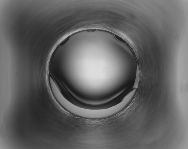 X0000096211528200802151452