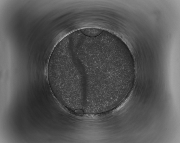 X0000096211529200802151452